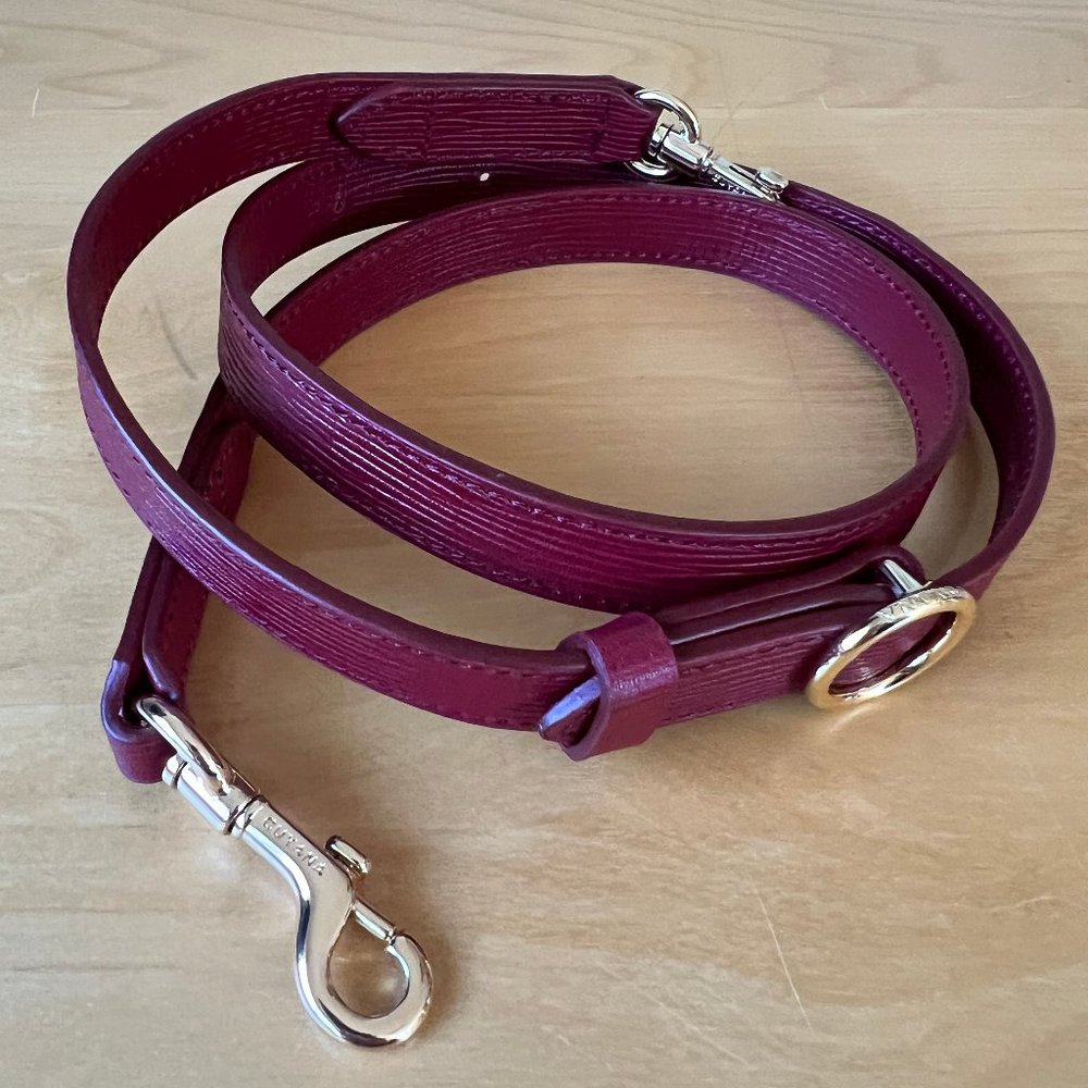 NWOT Cuyana Red Adjustable Handbag Strap